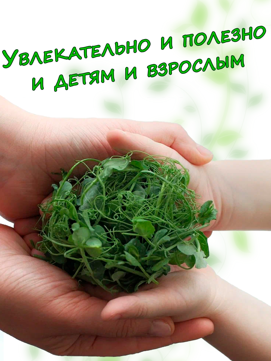 Набор микрозелени для выращивания "Делюкс" 6 культур