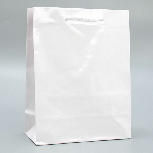 Пакет подарочный ламинированный, упаковка, "Белый", MS 18 x 23 x 8 см