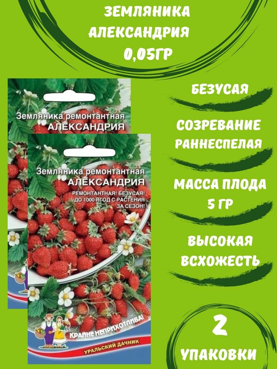 Земляника Александрия ремонтантная 005г 2 упаковки