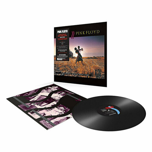 pink floyd a collection of great dance songs lp Виниловая пластинка Pink Floyd - A Collection of Great Dance Songs (180 Gram). 1 LP