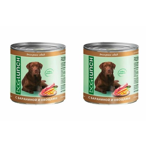 Dog Lunch Консервы для собак Экспресс обед c Бараниной и овощами, 750 г, 2 штуки оскар консервы для собак с бараниной 0 750 кг