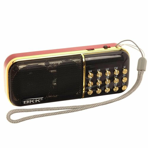 Радиоприемник BKK-851 2 microSD mini-USBTFFM часы 2 качественных аккумулятора по 2200мАч 119000₽