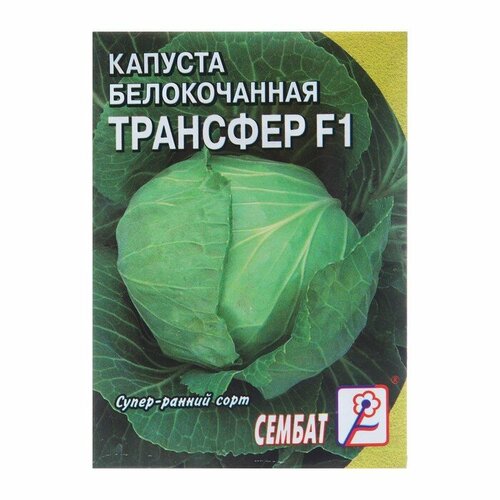 Семена Капуста белокочанная Трансфер F1, 0,1 г