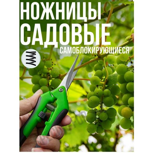 Ножницы садовые механические SPECIAL FOR YOU садовые ножницы из нержавеющей стали для обрезки сада садовые ножницы для горшков профессиональные ручные ножницы для обрезки садовые ин