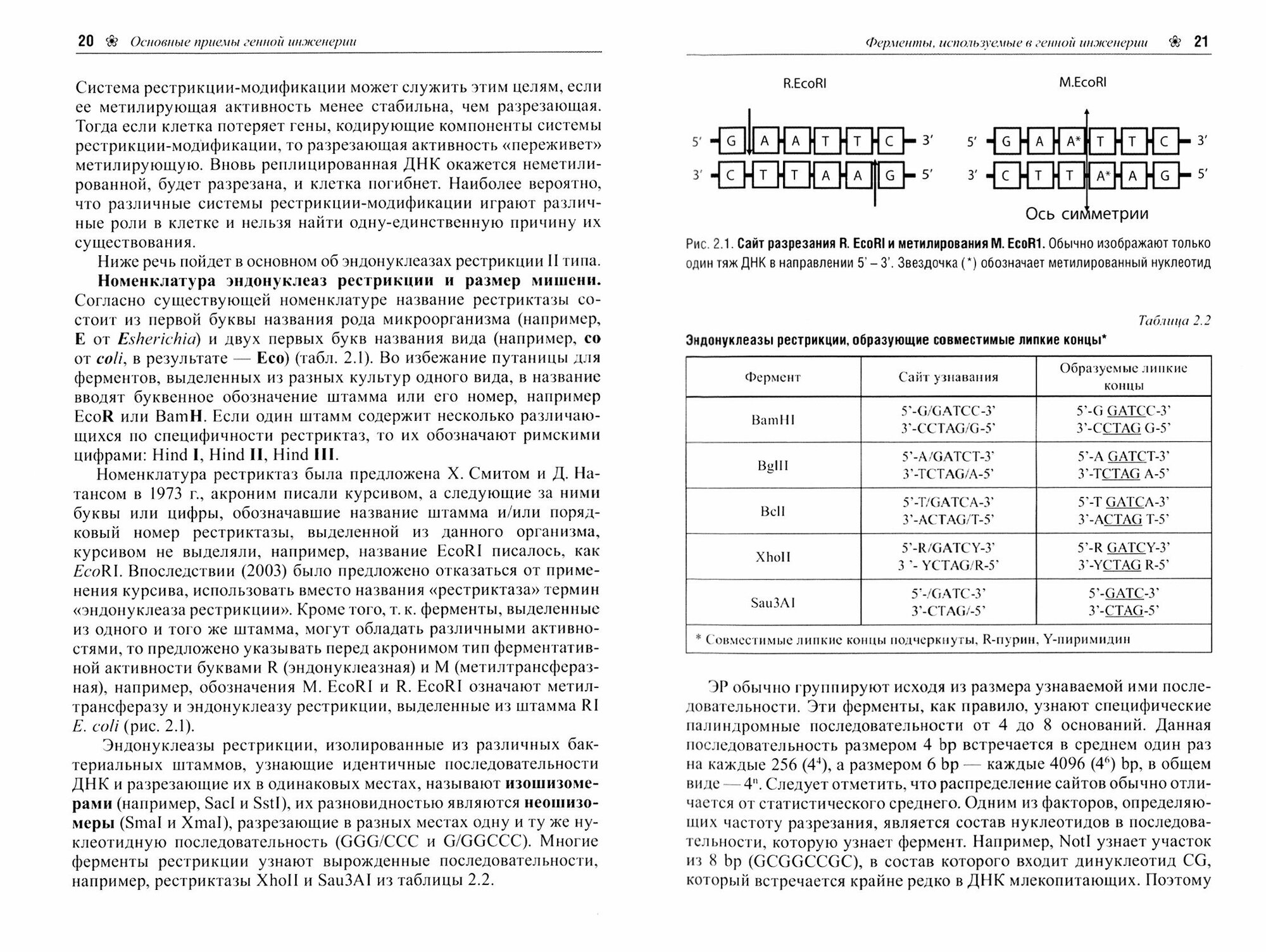 Генная инженерия в биотехнологии. Учебник ВУЗ - фото №2