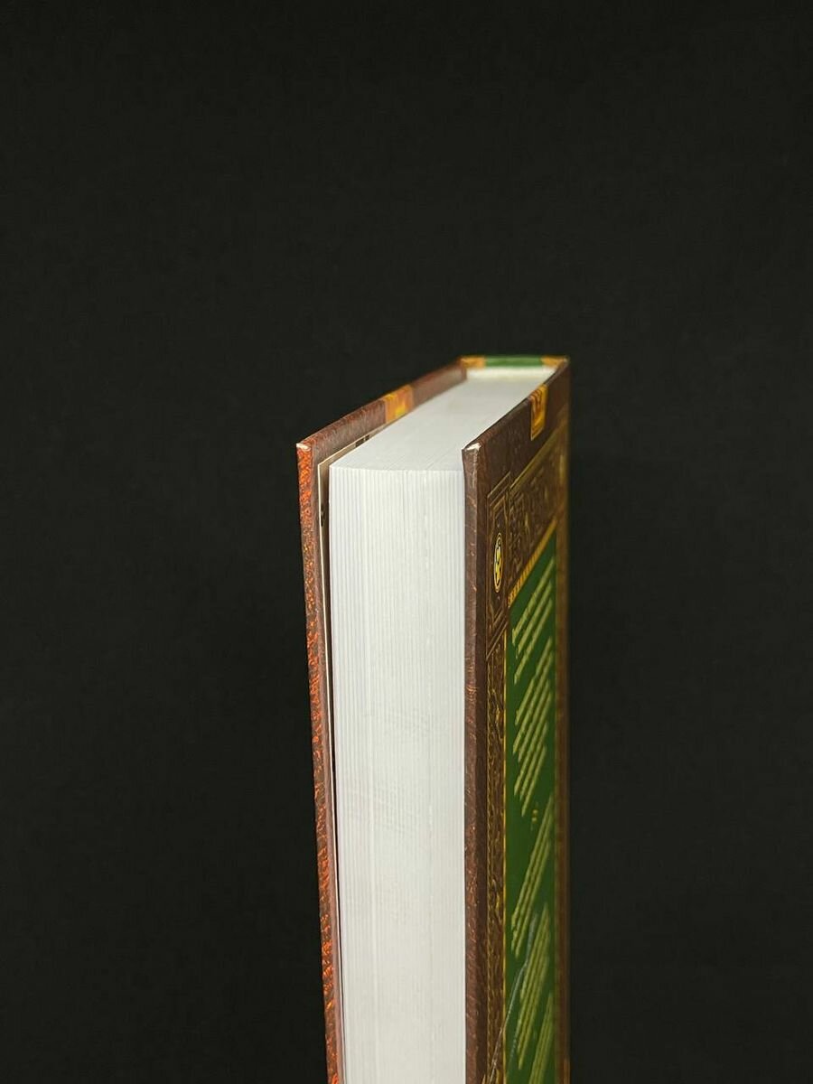 Книга Коты-воители. Длинные тени. Восход солнца - фото №9