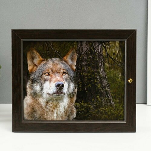 Ключница Волк 24х29 см 1220₽