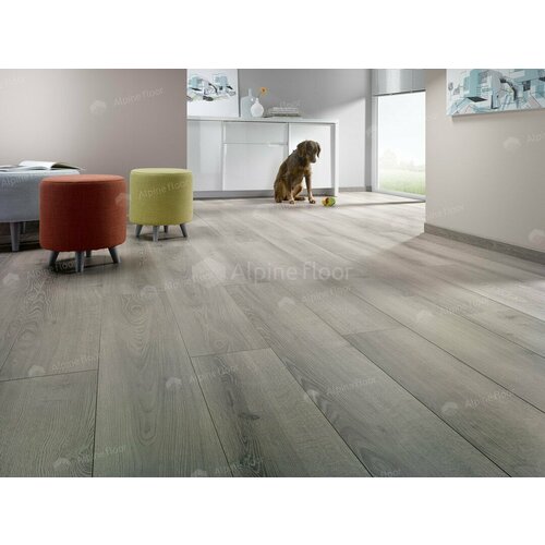 Homflor Patio Medium Durban 437 homflor by alpine floor patio olbia oak 560