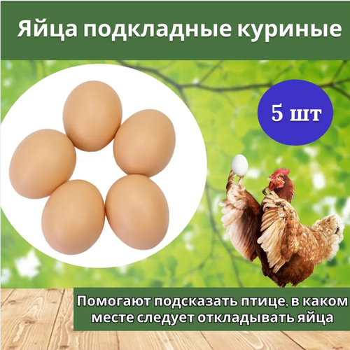 Комплект Яйцо подкладное куриное ( муляж) 5 штук декоративные птичьи яйца птичье гнездо искусственные яйца искусственные птичьи яйца искусственные яйца