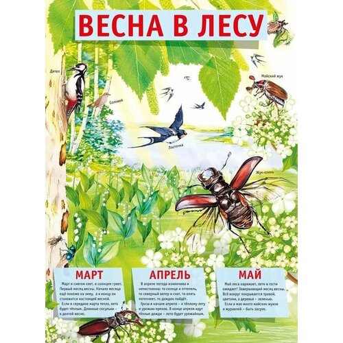 Плакат Весна в лесу!, изд: Горчаков 460326294100371527 кому нужны деревья в лесу плакат