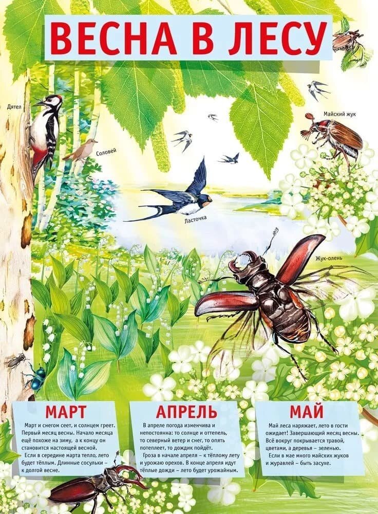 Плакат "Весна в лесу!", изд: Горчаков 460326294100371527