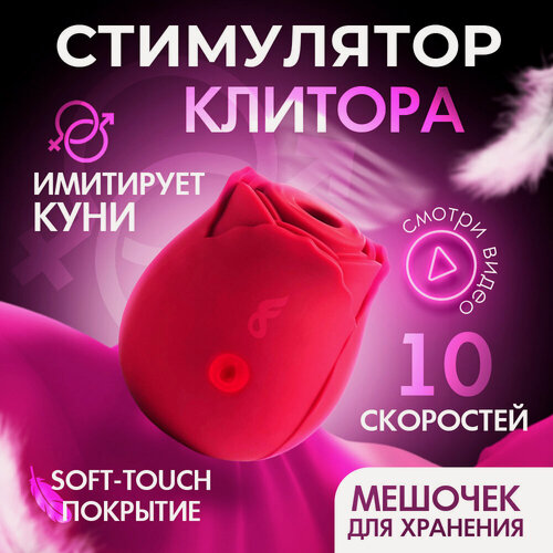 Изображение товара Вибратор женский вакуумно-волновой для мастурбации клитора 18+, клиторальный вибро стимулятор Роза Pink Nectar Funtasy