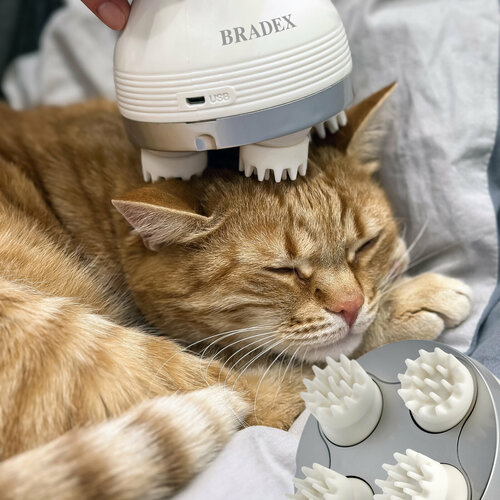 Массажер для головы тела и волос Нирвана BRADEX электрический пальчиковый антистресс 2650₽