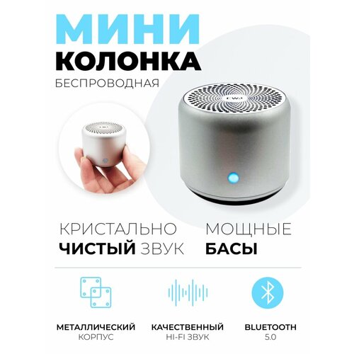 EWA Портативная Bluetooth колонка серебристая A106 Pro, 3 Вт Silver