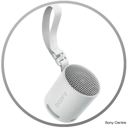 SRS-XB100H портативная колонка Sony серая 7690₽