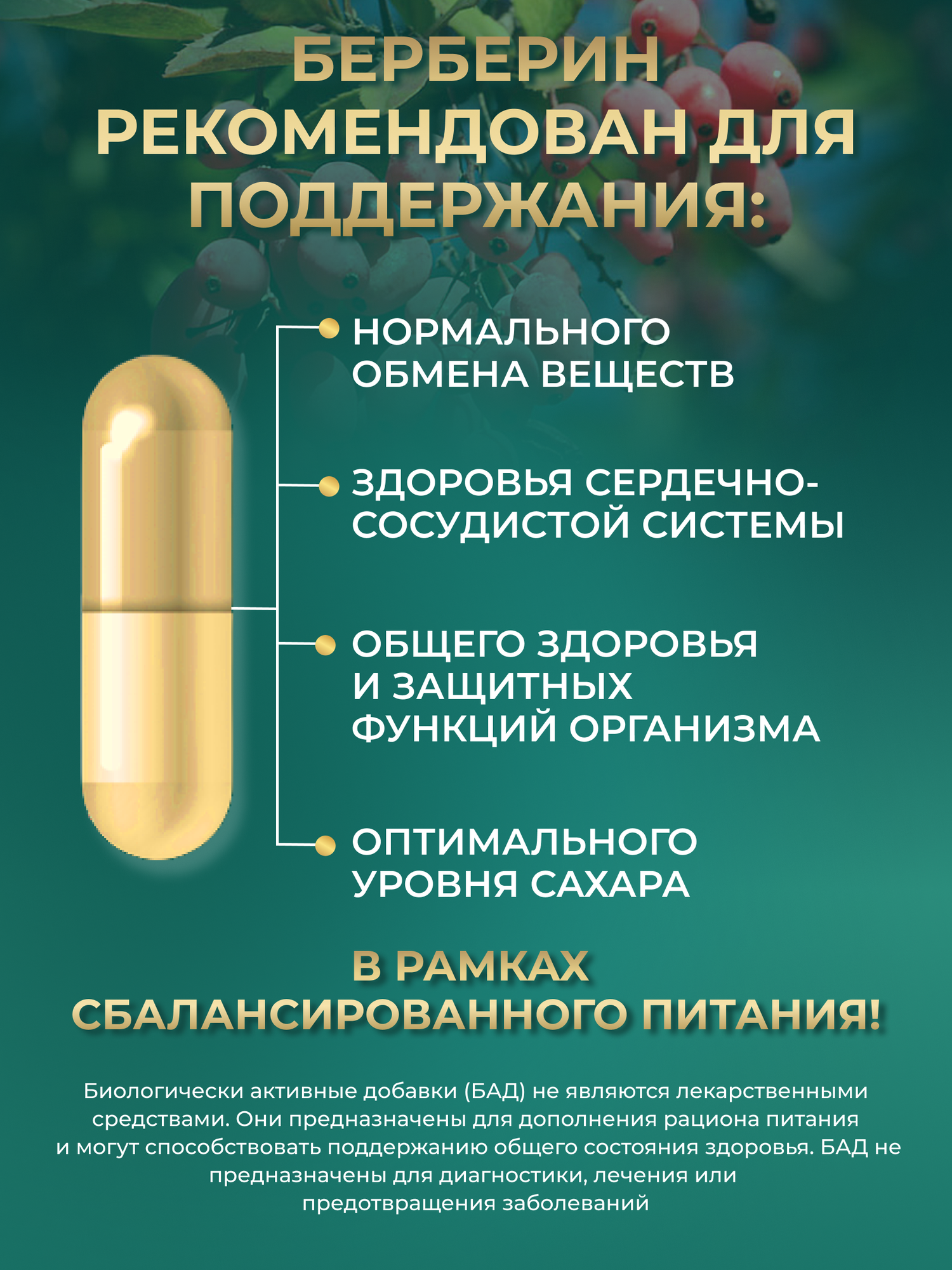Изображение Берберин GraFLab для похудения и метаболизма, 500мг, 60 капсул