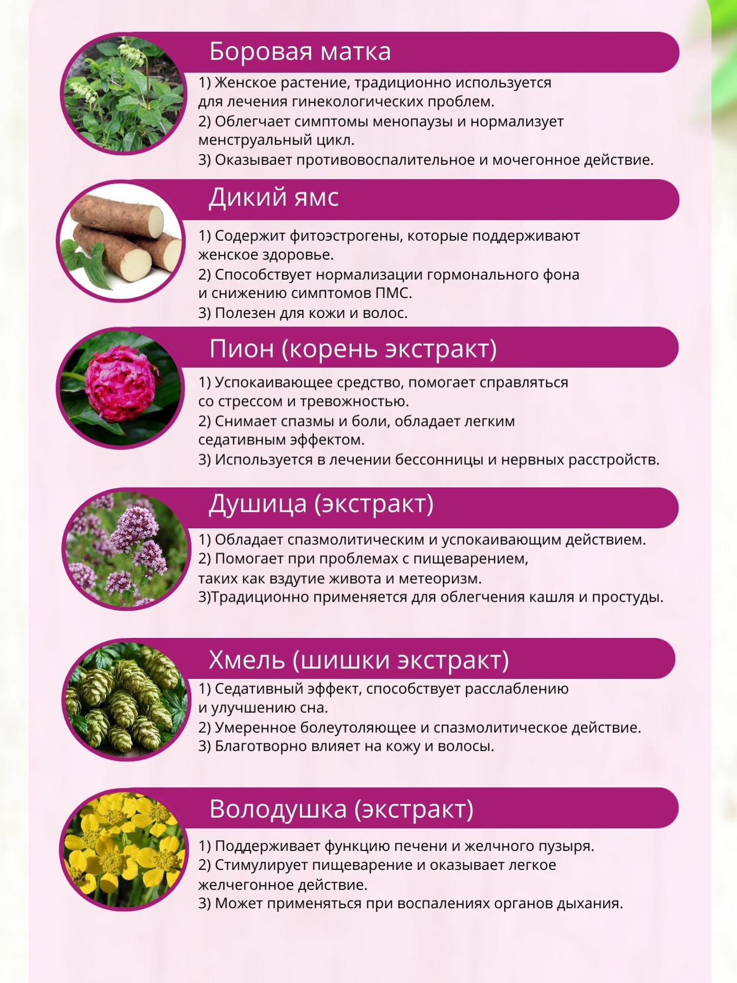 Гомеопатические Препараты Для Женского Здоровья Комплекс КумАлтая "Гармония женских циклов", для женского здоровья, 60 капсул