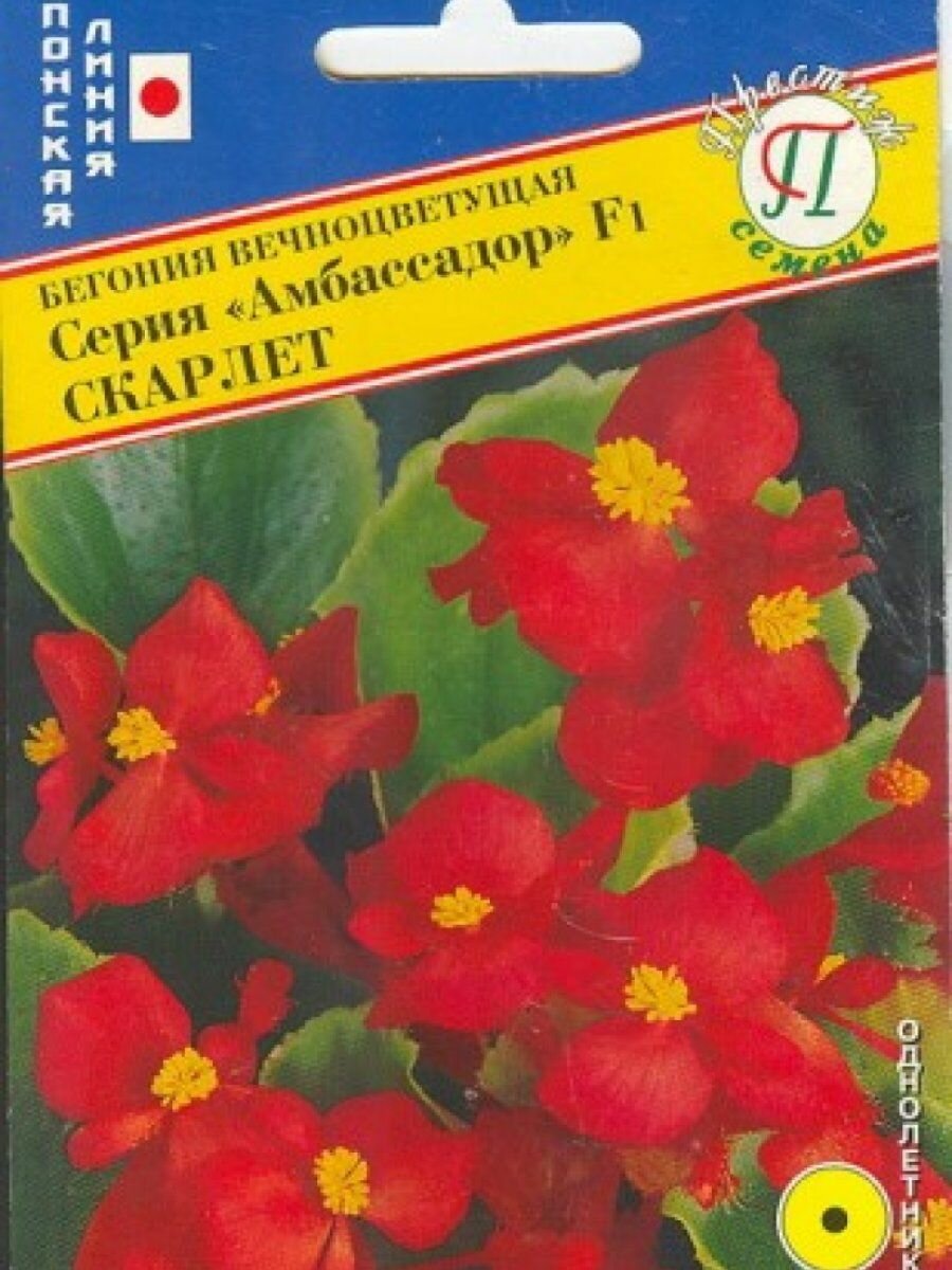 Семена Бегония вцв.