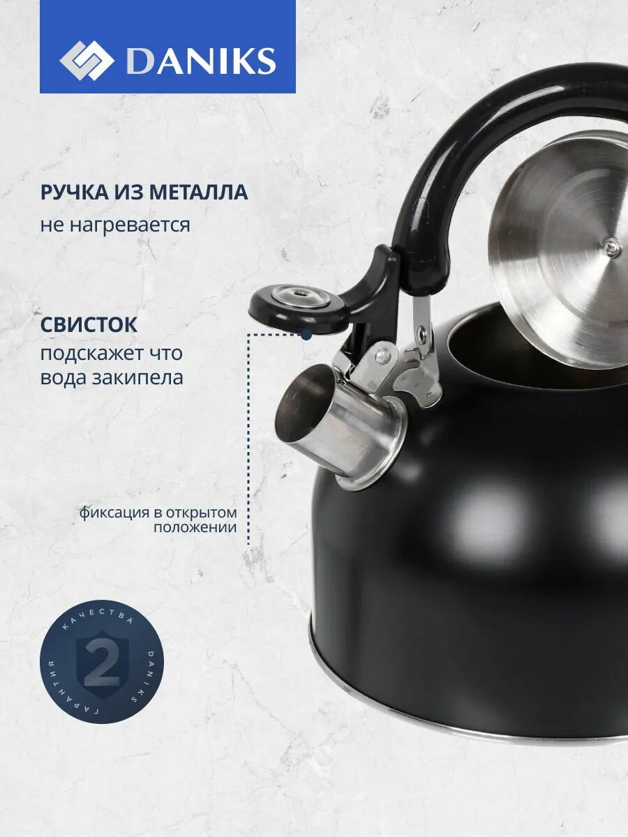 Чайник нержавеющая сталь, 2.5 л, со свистком, матовый, ручка металлическая, Daniks, черный, GS-04001 — фото 1