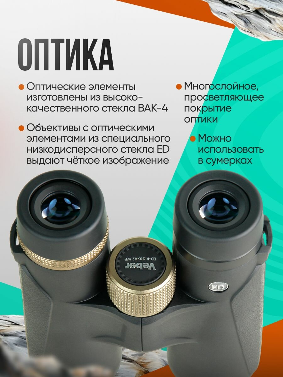 Бинокль Veber ED-R 10x42 WP — фото 1