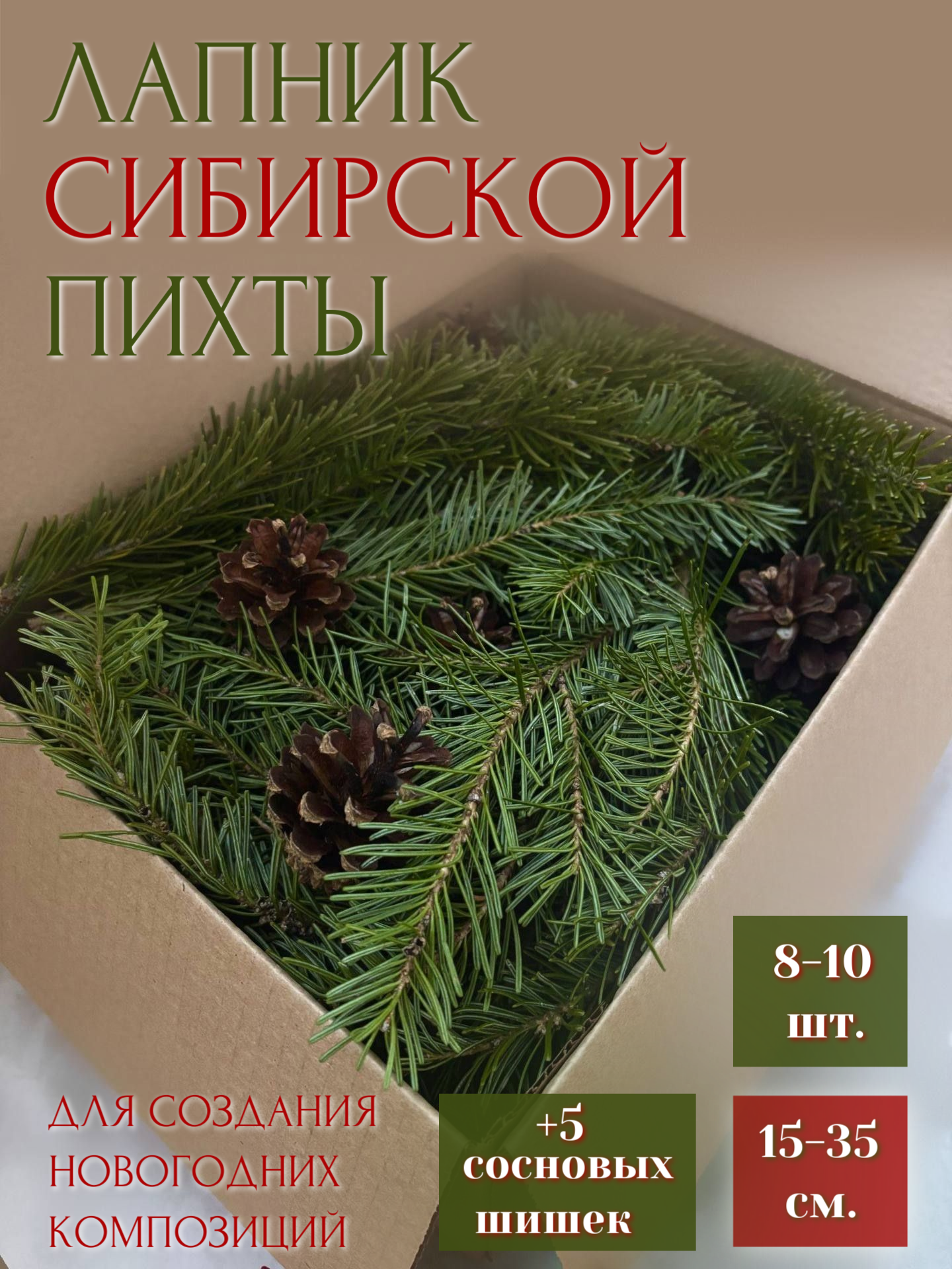 Живой лапник сибирской пихты для создания новогодних композиций