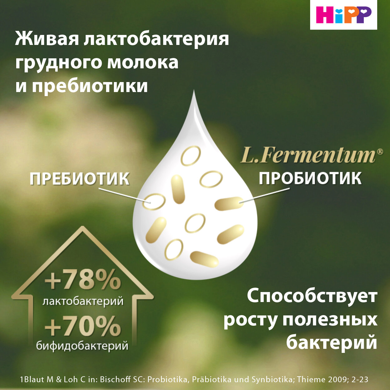 Сухая адаптированная последующая молочная смесь Hipp Combiotic 3, 900гр - фото №4