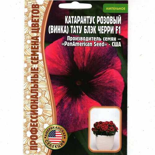 Катарантус гибридный Tattoo blueberry ( 1 уп: 5 семян )