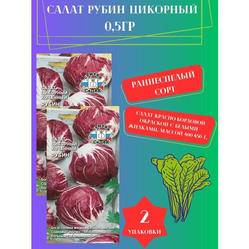 Семена салат Рубин (цикорный), 2 упаковки семена салат криспи 2 упаковки 2 подарка