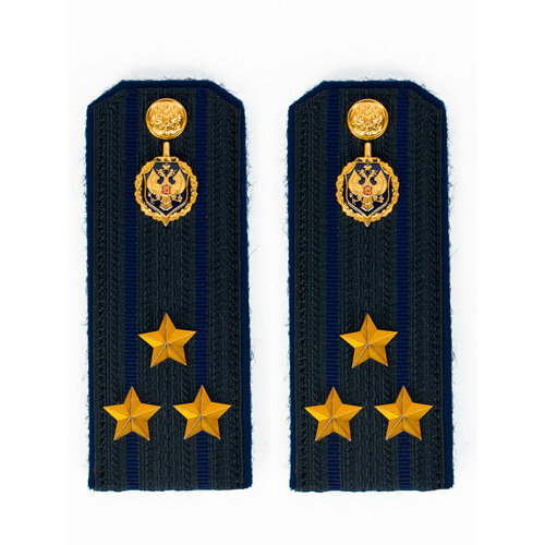 Погоны Фсб на куртку цвет синий картон, звание Полковник 14х5,5см погоны фсб на китель цвет синий картон звание лейтенант