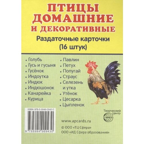 Птицы домашние и декоративные. Раздаточные карточки (16 штук) птицы россии раздаточные карточки 16 штук