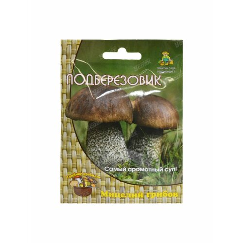 Семена грибов для выращивания