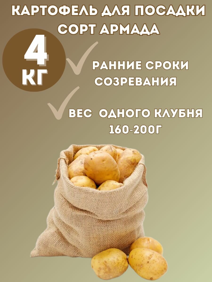 Картофель семенной Армада 4 кг