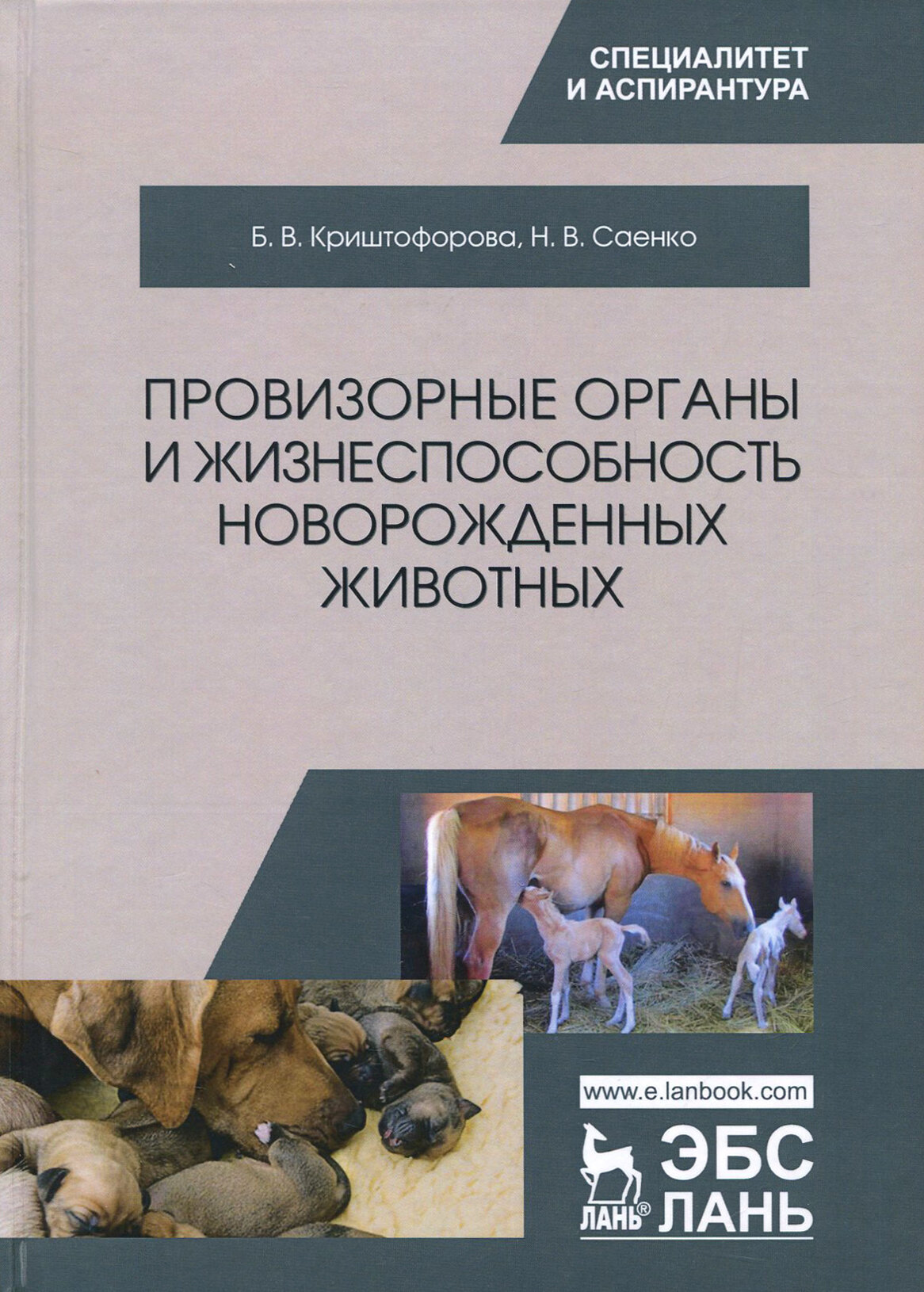 Провизорные органы и жизнеспособность новорожденных животных. Монография - фото №3