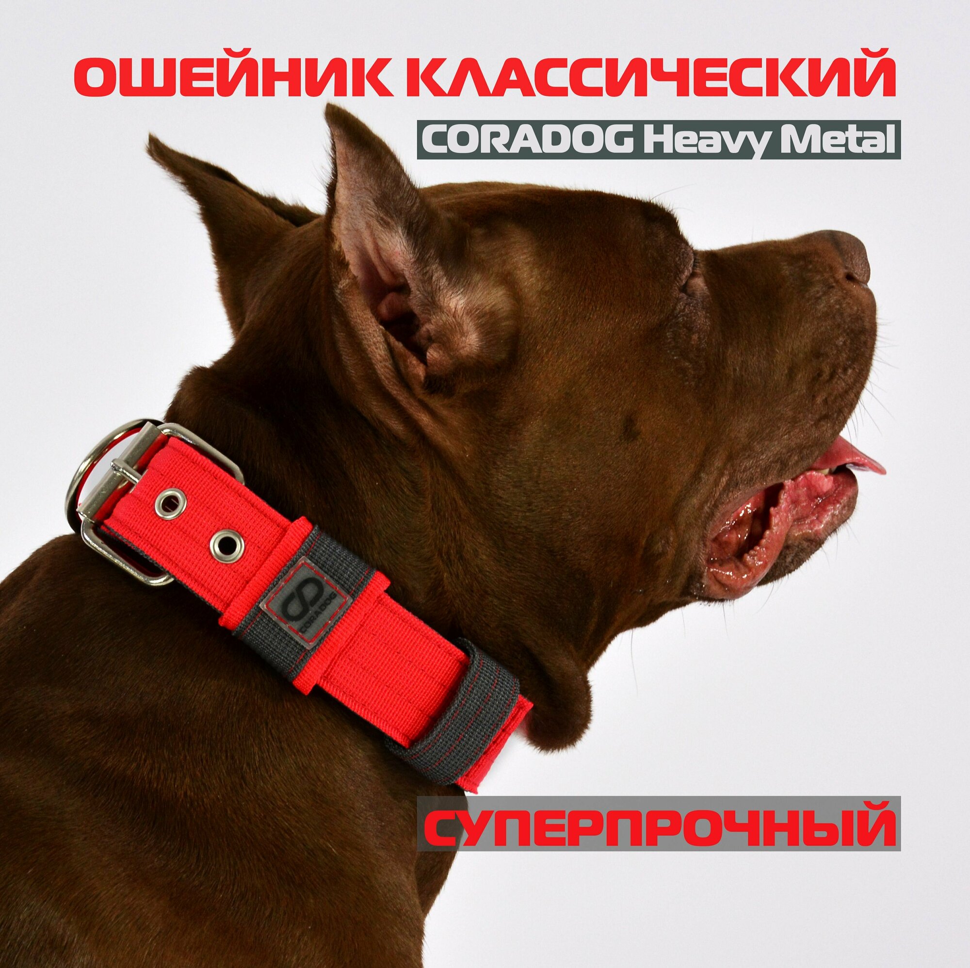 Ошейник высокопрочный, CORADOG Heavy Metal, для средних и крупных собак, красный, серый, размер L 50-62 см
