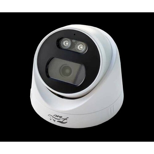 IP камера уличная FX-M2D MIC 2 Мп купольная цвет белый 599100₽