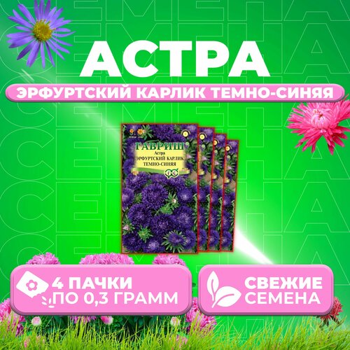 Астра Эрфуртский карлик темно-синяя, 0,3г, Гавриш, Цветочная коллекция (4 уп)