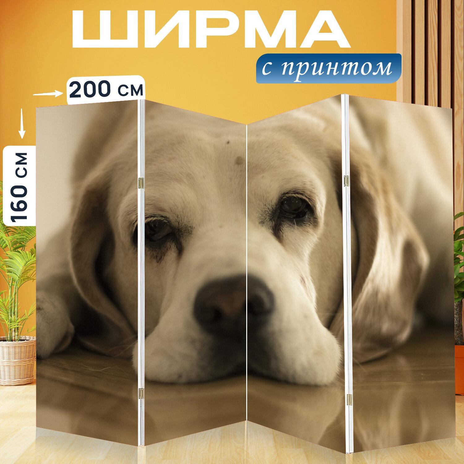 Ширма перегородка с принтом "Собака, гончая, сонный" на холсте - 200x160 см. для зонирования, раскладная