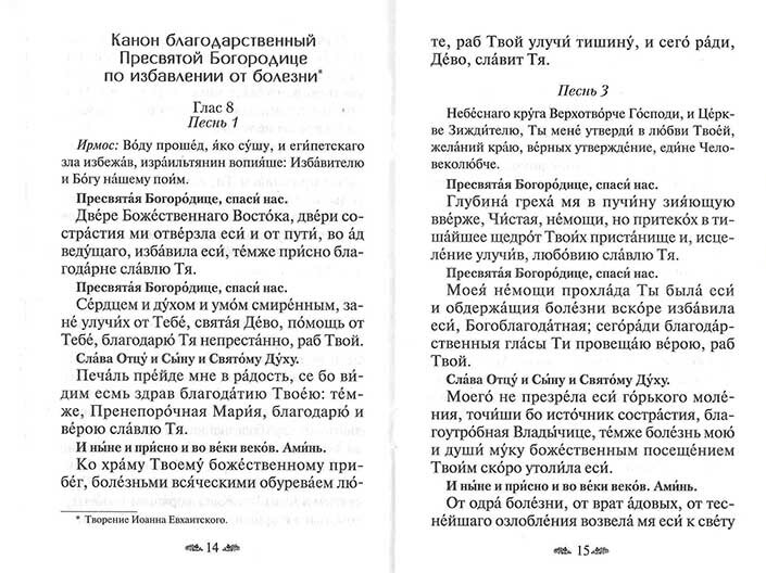 Канон о болящем. Канон благодарственный по исцелению. Молитвы об исцелении - фото №2