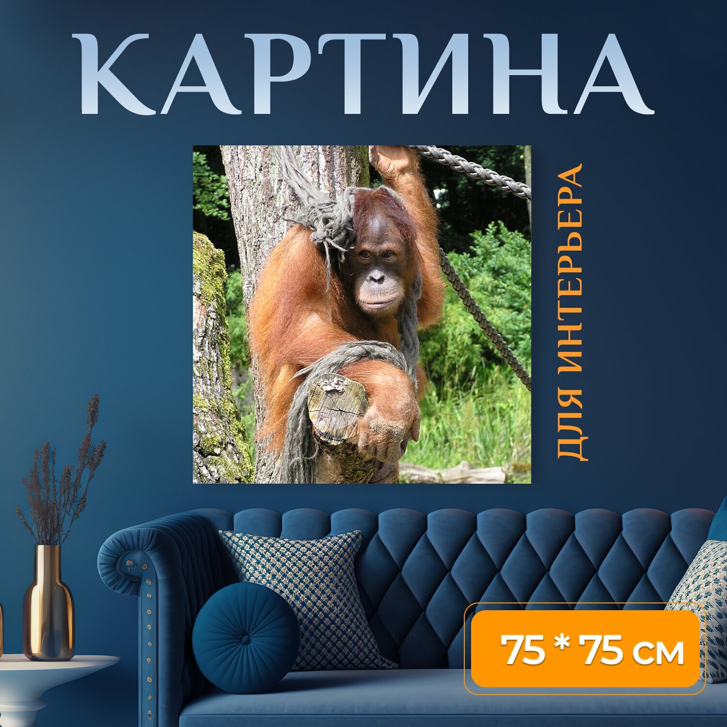 Картина на холсте "Обезьяна, оранг ютен, млекопитающее" на подрамнике 75х75 см. для интерьера