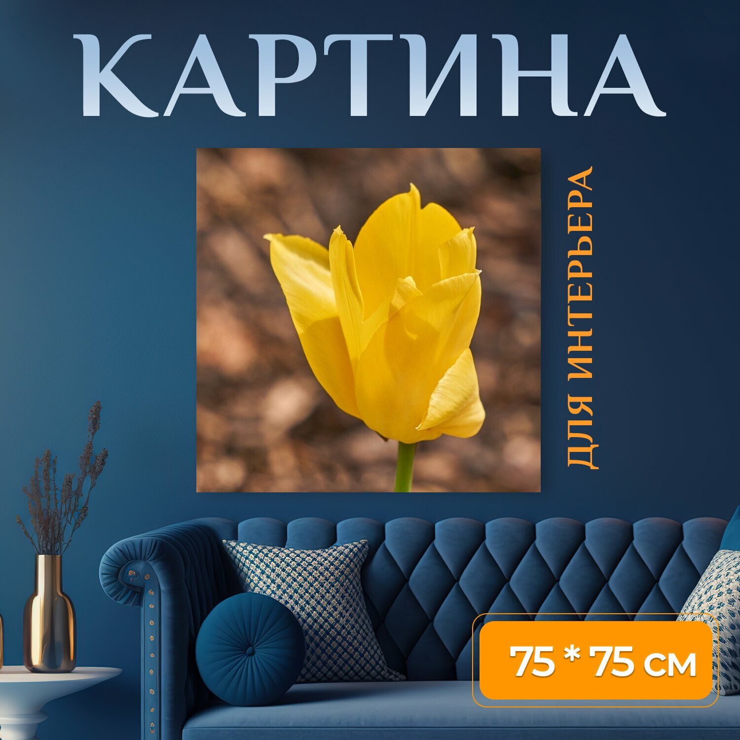 Картина на холсте "Тюльпан, цвести, желтый" на подрамнике 75х75 см. для интерьера