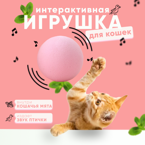 Игрушка для кошек, мячик с кошачьей мятой, мячик со звуком "птички", интерактивная игрушка, шарик для кошек, догонялка, дразнилка