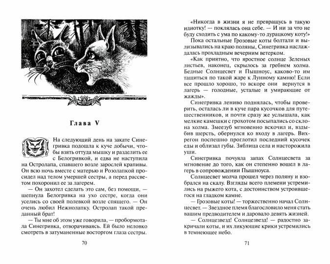 Книга Пророчество Синей Звезды Выбор - фото №10