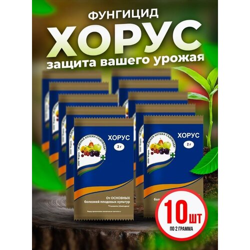 Хорус - фунгицидный комплект 2 г, 10 штук фунгицид от болезней плодовых деревьев хорус 2г