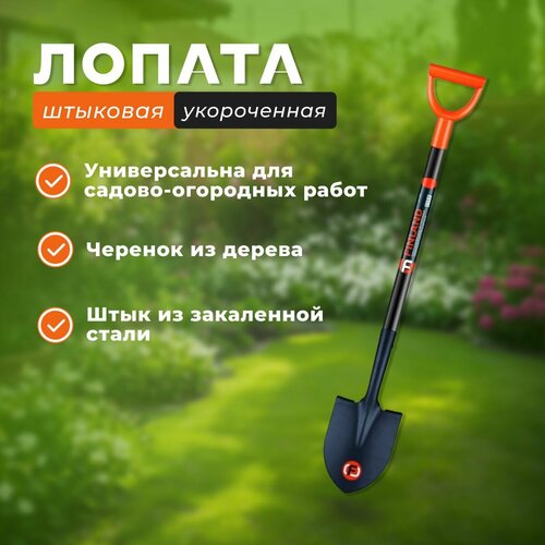 Лопата штыковая укороченная дамская 2045₽