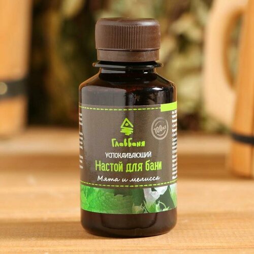 Настой косметический ароматизирующий Мята и мелисса 100мл 566₽