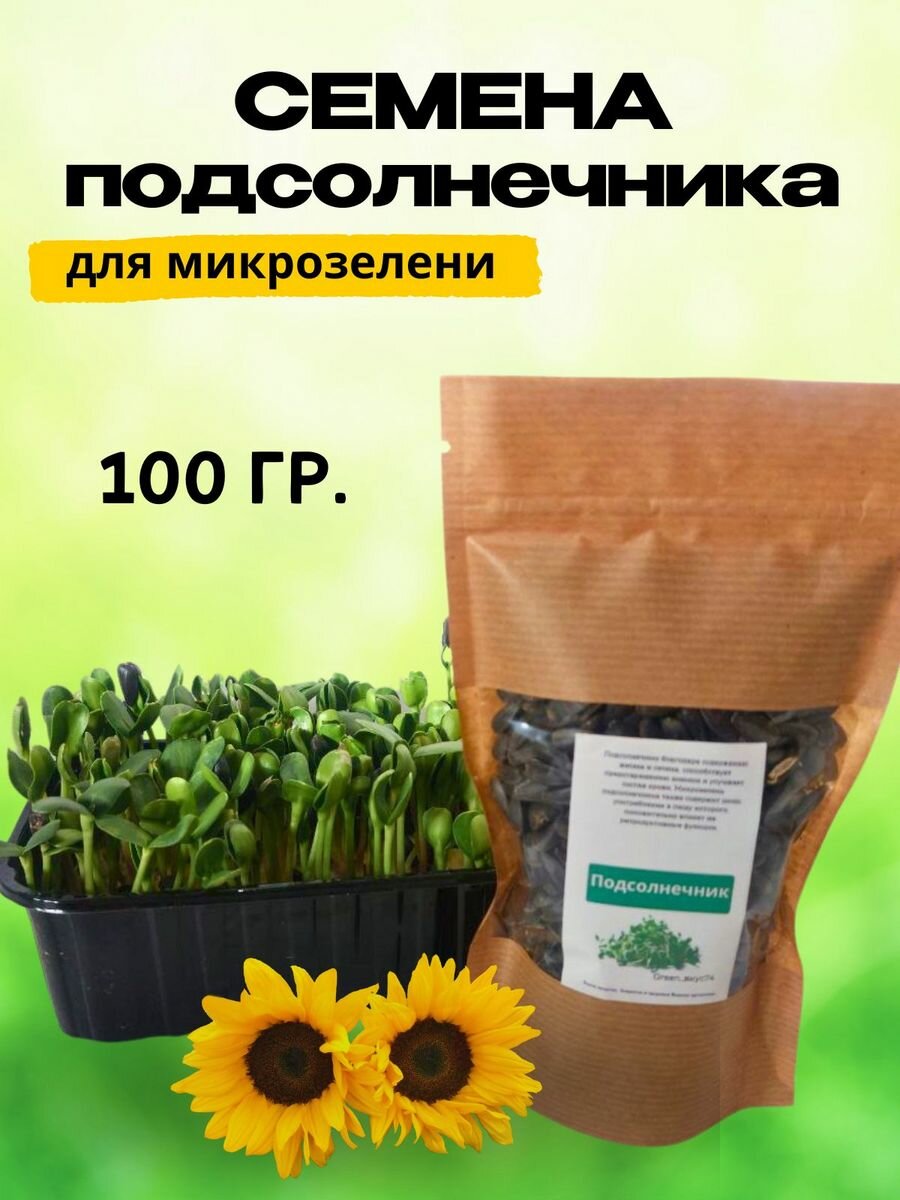 Подсолнечник для проращивания микрозелени