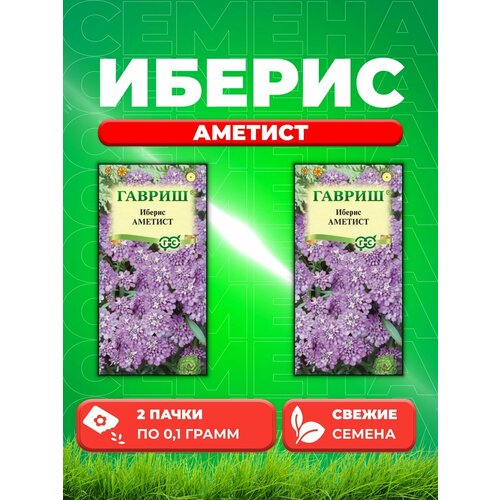 Иберис зонтичный Аметист, 0,1г, Гавриш(2уп) семена иберис зонтичный жемчужная россыпь 0 2г гавриш 2 упаковки