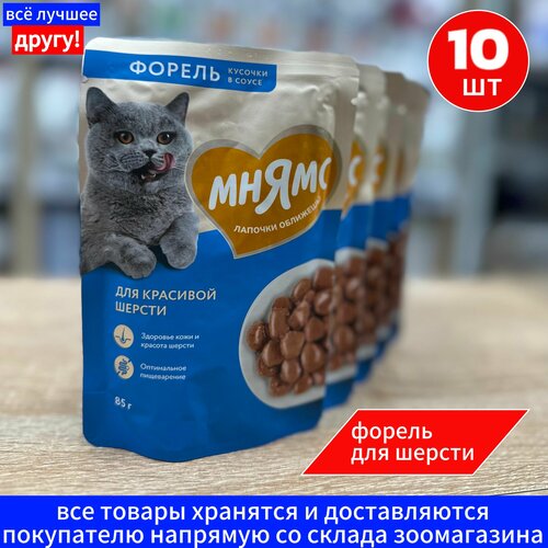 Влажный корм Мнямс Кусочки в соусе для красивой шерсти кошек, с форелью, 85г х 10шт