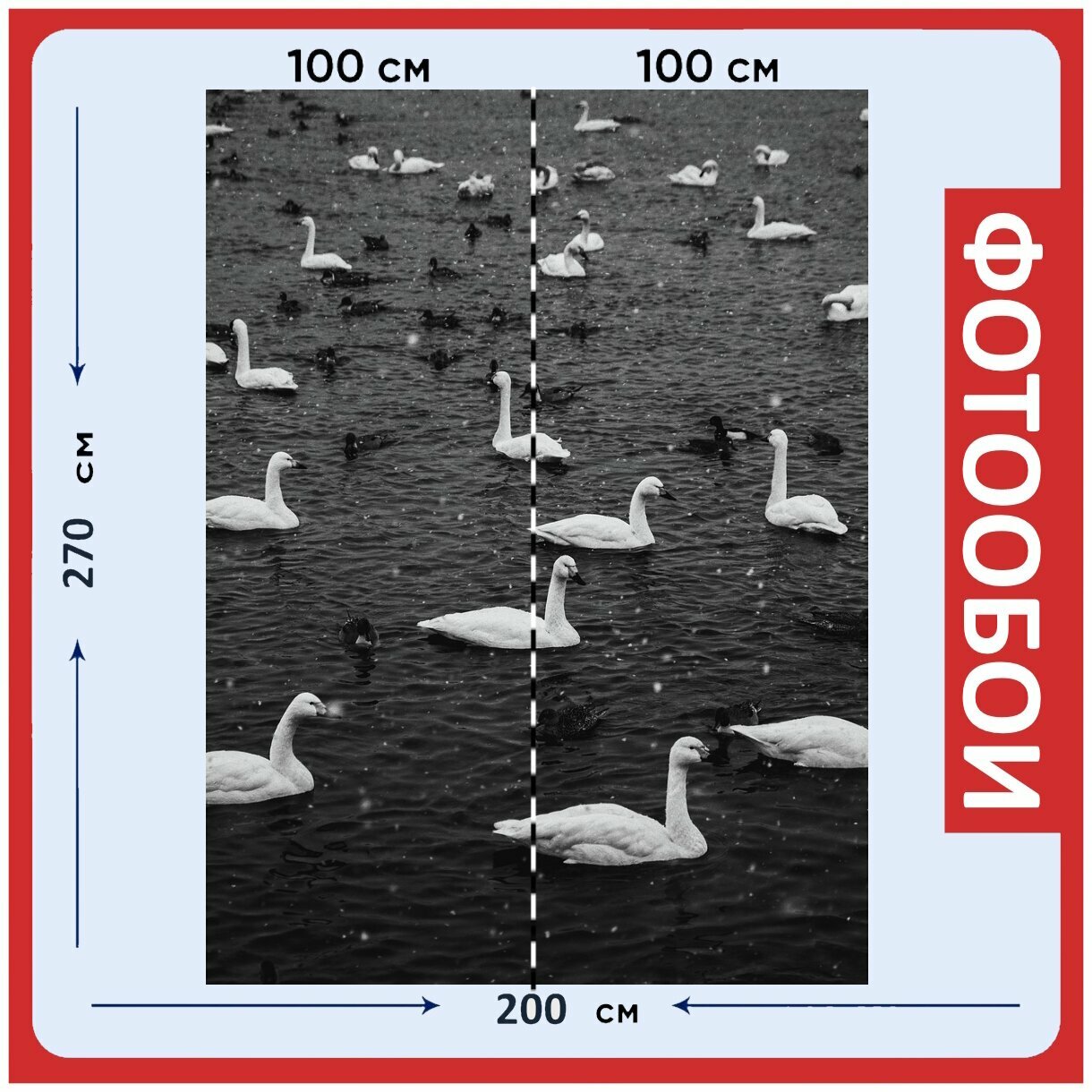 Фотообои "Лебеди, птицы, озеро" 200x270 см. флизелиновыена стену