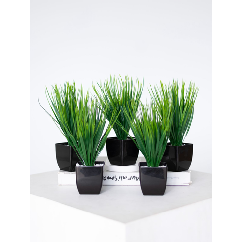 Искусственные растения 